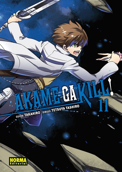 Akame Ga Kill! 11 Norma Editorial