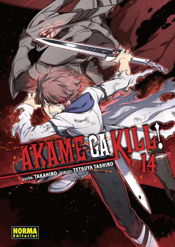 Akame Ga Kill! 14 Norma Editorial