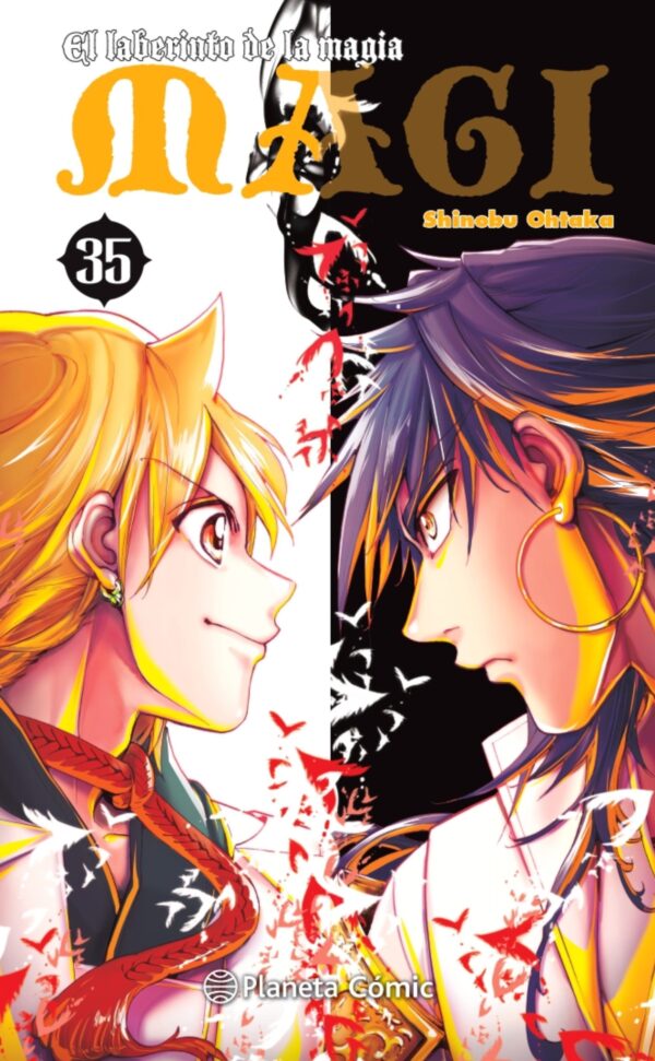 Magi. El Laberinto de la Magia 35