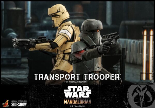 Transport Trooper The Mandalorian Hot Toys Star Wars