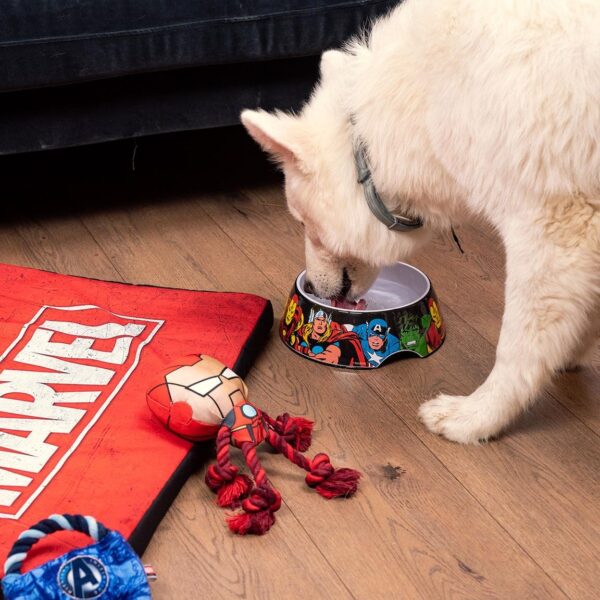 Comedero Para Perro Marvel Tamaño M