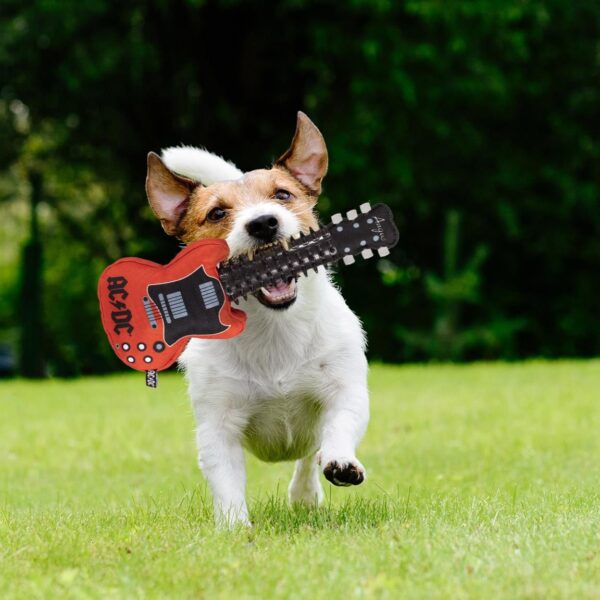 Mordedor Para Perro AC/DC Con Sonido