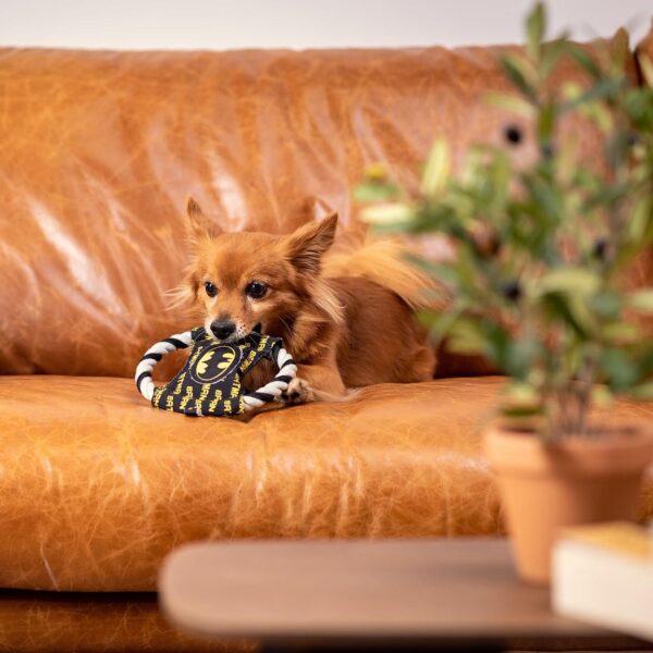 Cuerda Dental Con Sonido Para Perro Batman
