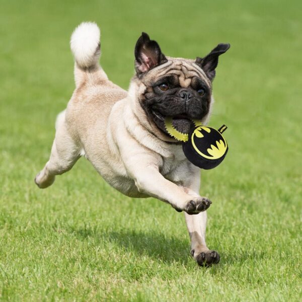 Mordedor Con Sonido Para Perro Batman