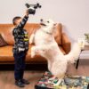 Cuerda Dental Para Perro Batman