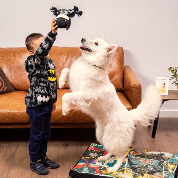 Cuerda Dental Para Perro Batman