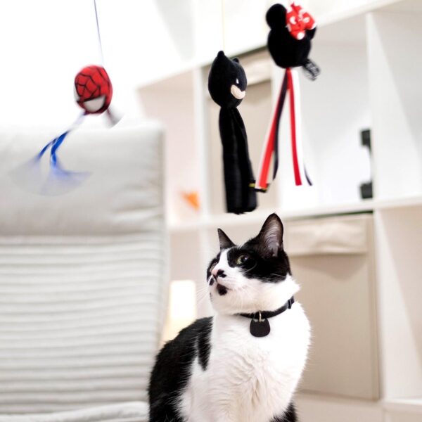 Varita Juguete Para Gato Spiderman