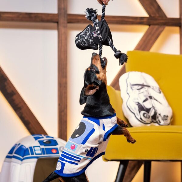 Cuerda Dental Para Perro Star Wars Darth Vader