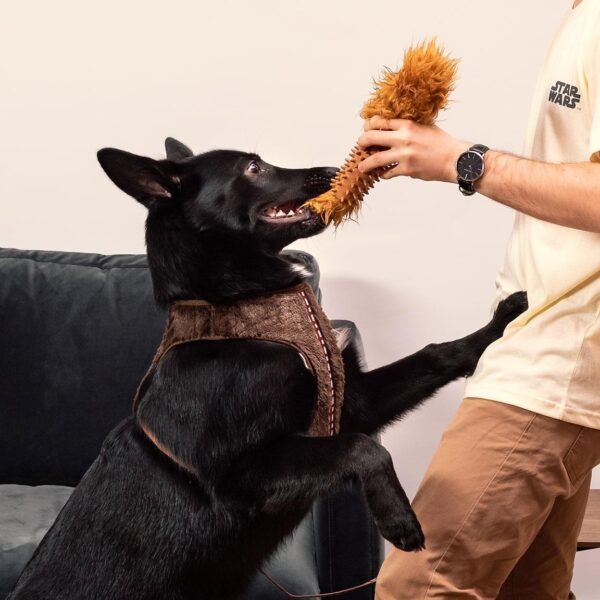 Mordedor Para Perro Con Sonido Star Wars Chewbacca