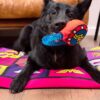 Mordedor Con Sonido Para Perro Wonder Woman