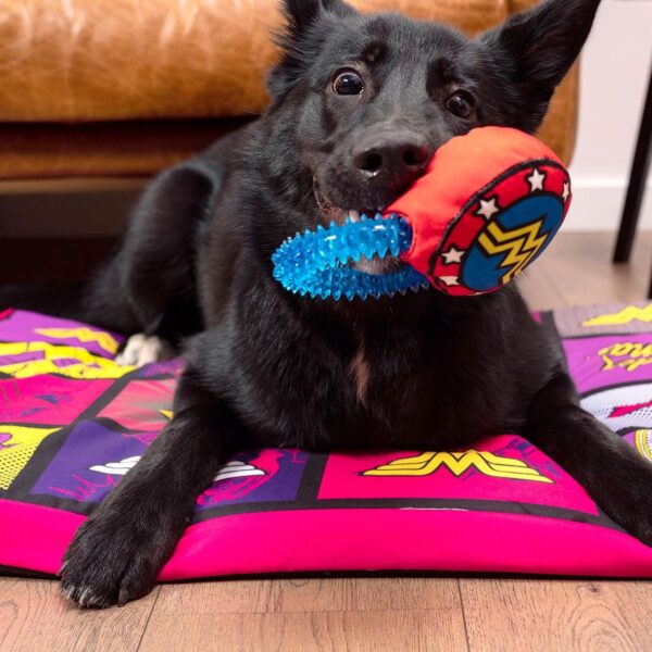Mordedor Con Sonido Para Perro Wonder Woman