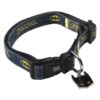 Collar Para Perro O Gato Batman Talla XXS-XS