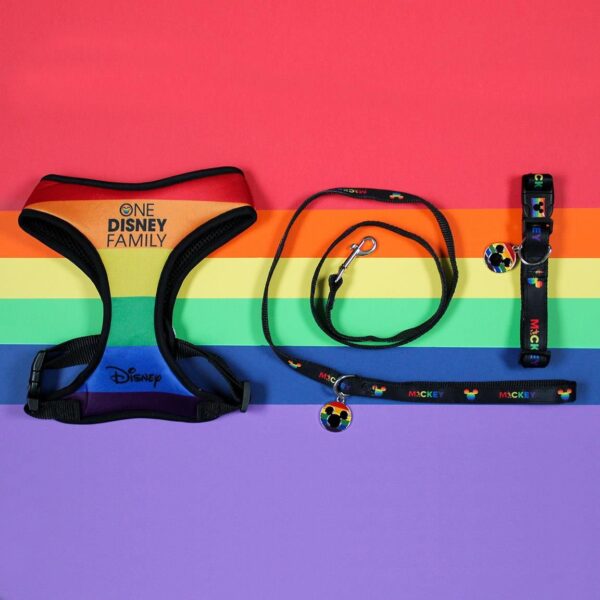Collar Para Perro Disney Pride Talla M-L