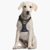 Arnés Para Perro Batman Talla XXS-S