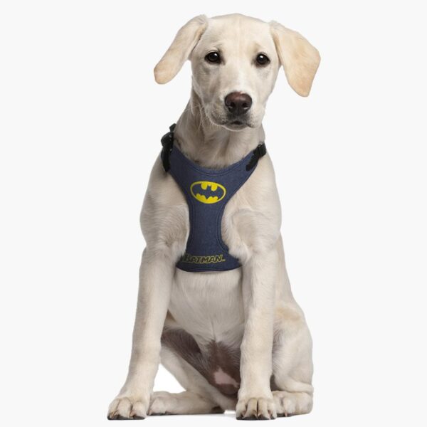 Arnés Para Perro Batman Talla XXS-S