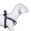 Petral Para Perro Star Wars Darth Vader Talla XS-S