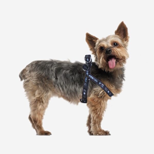 Petral Para Perro Star Wars Darth Vader Talla XS-S