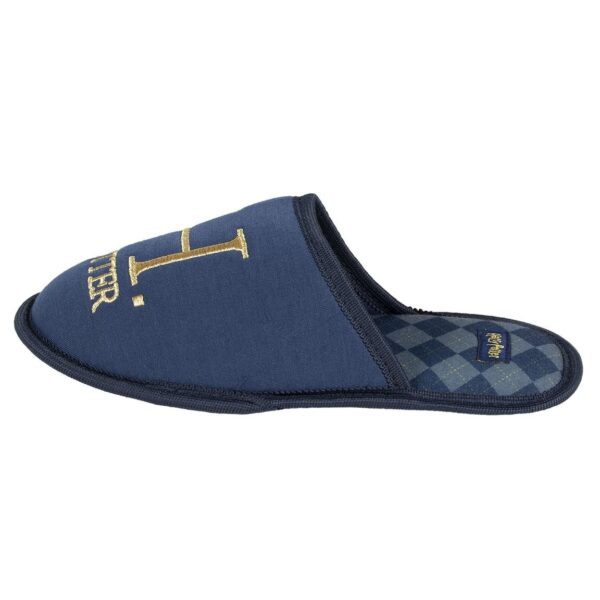 Zapatillas Casa Harry Potter