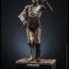 Figura C-3PO Star Wars: Episode II Hot Toys Star Wars