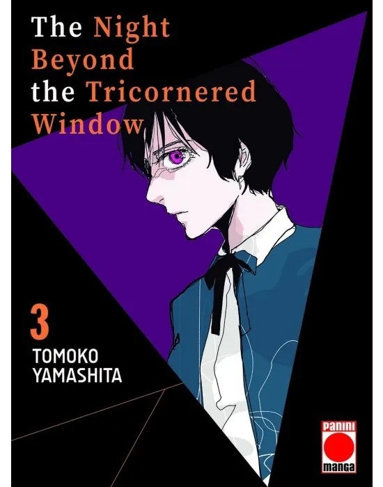 The Night Beyond The Tricornered Window 3