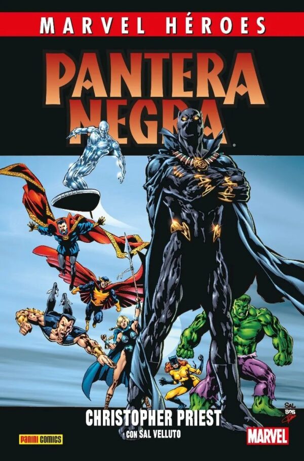 Pantera Negra de Christopher Priest 2 (Marvel Héroes 110)