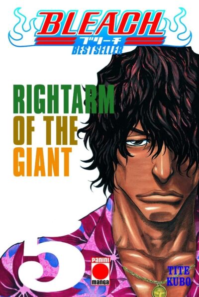 Bleach: Bestseller 5