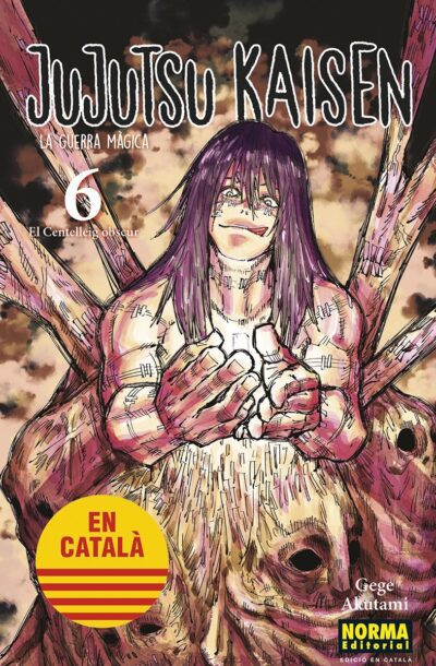 Jujutsu Kaisen 6 Catalán