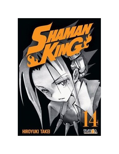 Shaman King 14