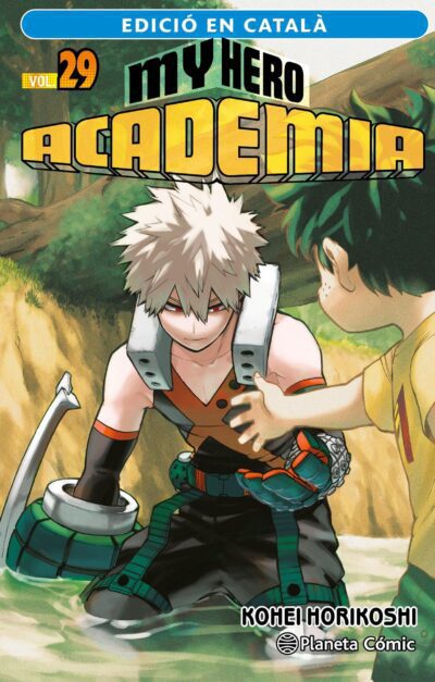 My Hero Academia 29 (Català)