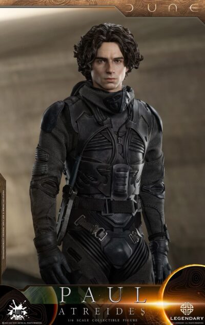 Figura Paul Atreides Traje Destilación Escala 1/6 Aug Toys