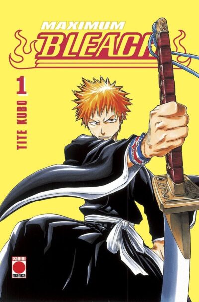Maximum Bleach 1