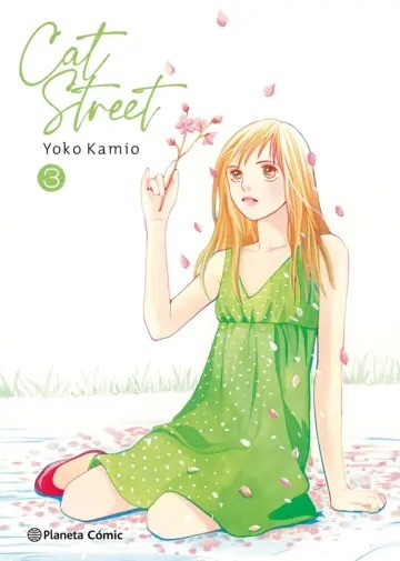 Cat Street 3