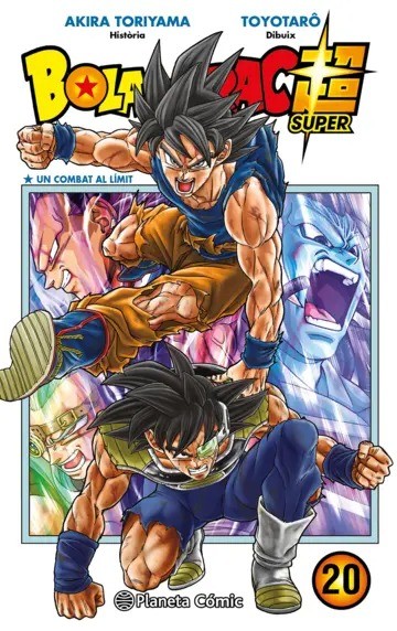 Bola de Drac Super 20