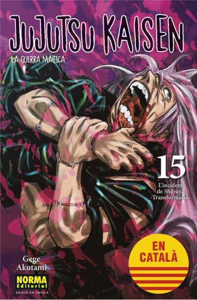 Jujutsu Kaisen 15. Català
