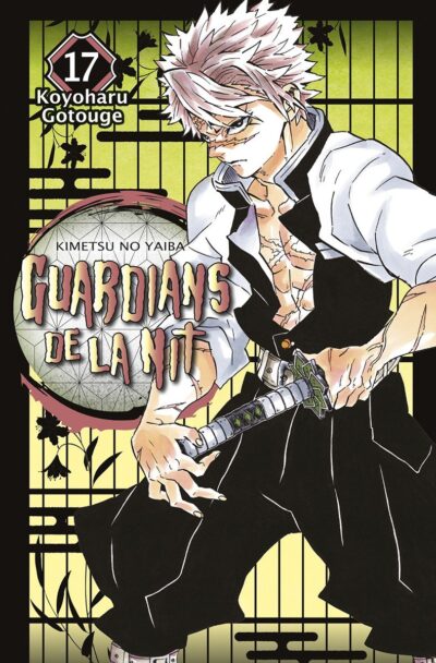 Guardians de la Nit 17