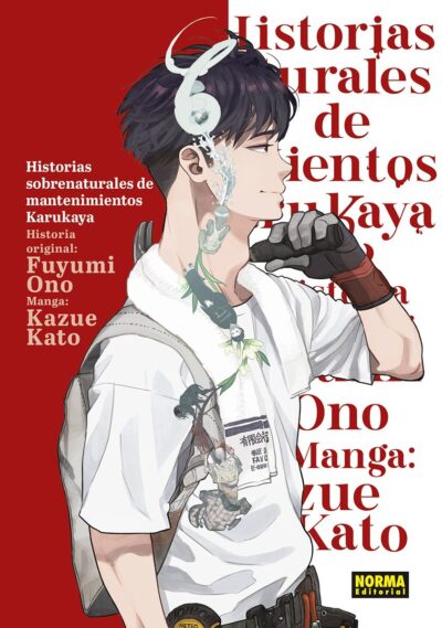 HISTORIAS SOBRENATURALES DE MANTENIMIENTOS KARUKAYA