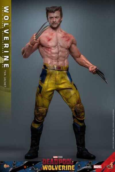Figura Lobezno TVA Jacket Version Deadpool & Wolverine Escala 1/6 Hot Toys