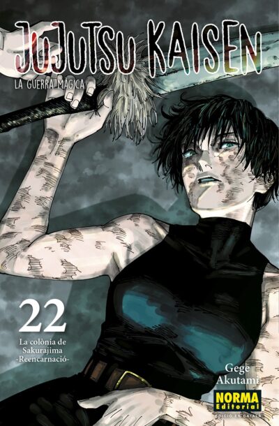 Jujutsu Kaisen 22. Català