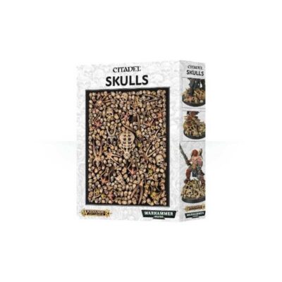 Citadel Skulls. Warhammer