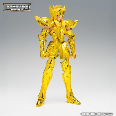 AQUARIUS HYOGA INHERITOR OF THE GOLD CLOTH SAINT SEIYA MYTH CLOTH EXr