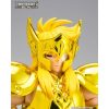 AQUARIUS HYOGA INHERITOR OF THE GOLD CLOTH SAINT SEIYA MYTH CLOTH EXr