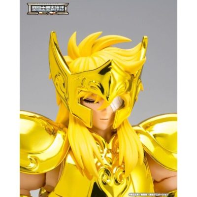 AQUARIUS HYOGA INHERITOR OF THE GOLD CLOTH SAINT SEIYA MYTH CLOTH EXr