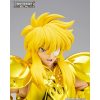 AQUARIUS HYOGA INHERITOR OF THE GOLD CLOTH SAINT SEIYA MYTH CLOTH EXr