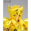 AQUARIUS HYOGA INHERITOR OF THE GOLD CLOTH SAINT SEIYA MYTH CLOTH EXr