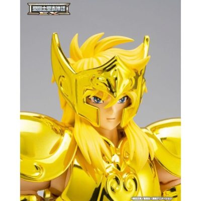 AQUARIUS HYOGA INHERITOR OF THE GOLD CLOTH SAINT SEIYA MYTH CLOTH EXr
