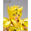 AQUARIUS HYOGA INHERITOR OF THE GOLD CLOTH SAINT SEIYA MYTH CLOTH EXr