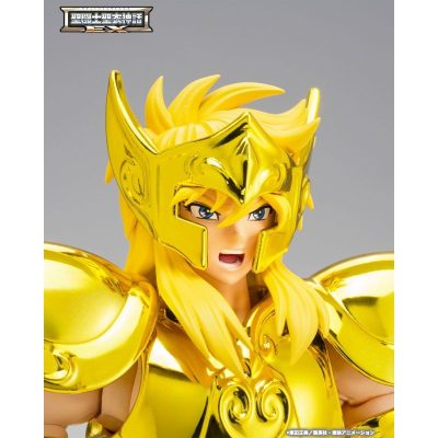 AQUARIUS HYOGA INHERITOR OF THE GOLD CLOTH SAINT SEIYA MYTH CLOTH EXr