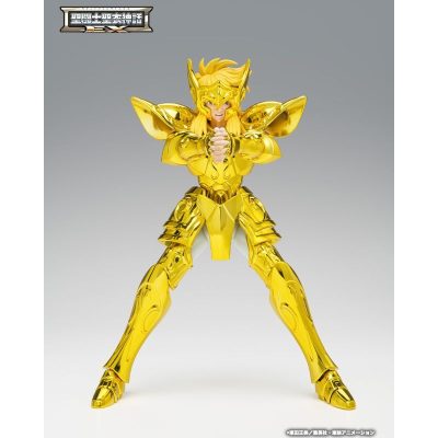 AQUARIUS HYOGA INHERITOR OF THE GOLD CLOTH SAINT SEIYA MYTH CLOTH EXr