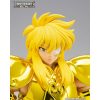 AQUARIUS HYOGA INHERITOR OF THE GOLD CLOTH SAINT SEIYA MYTH CLOTH EXr