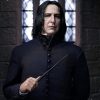 Figura Severus Snape Harry Potter INART